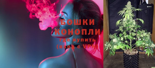 mdpv Каменка