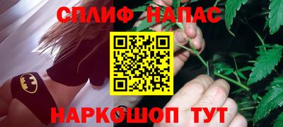 прущие грибы Ковров