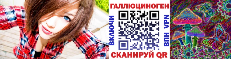 Купить где  Краснокамск  Псилоцибиновые грибы GOLDEN TEACHER 